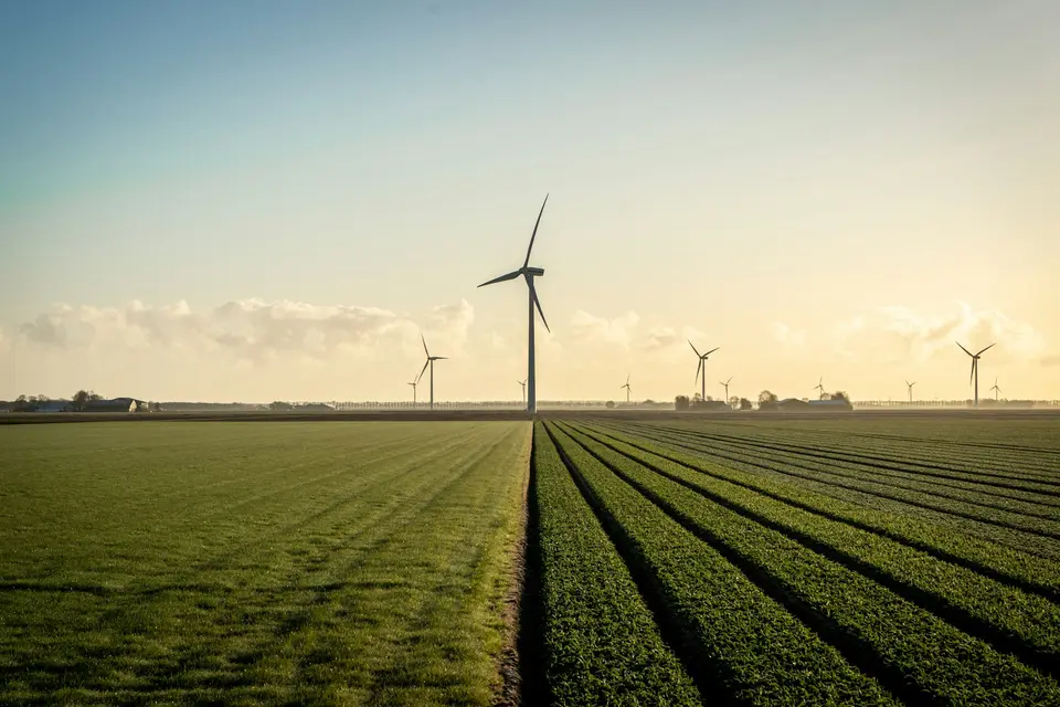 Windmolens aan de horizon boven een Nederlands akkerland met lange rijen gewas