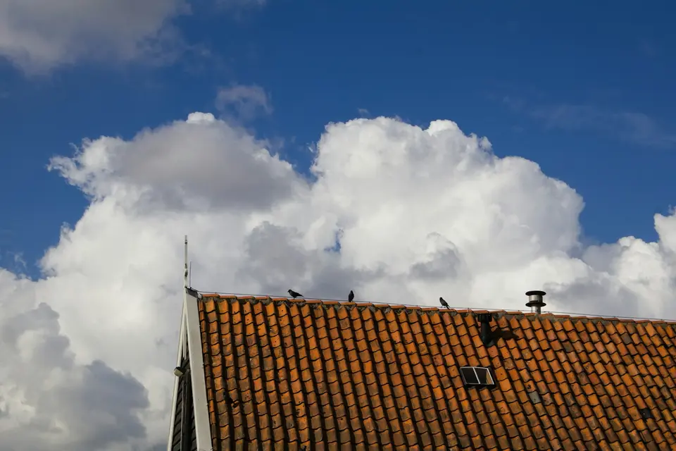 Een oranje pannendak met vogels op de nok, onder stapelwolken